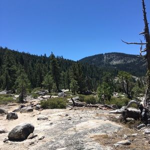 Meet your Posher, Grace